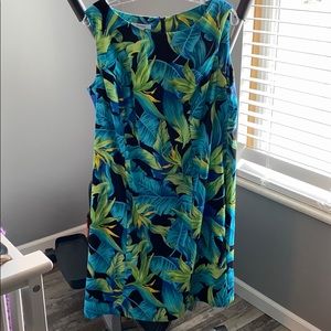 Vibrant Dress Barn sheath dress